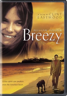 DVD Breezy Book