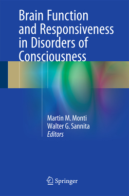 Brain Function and Responsiveness in Disorders ... 3319214241 Book Cover