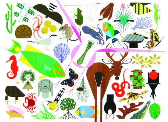 Charley Harper's Animal Kingdom: Popular Edition 1623260698 Book Cover