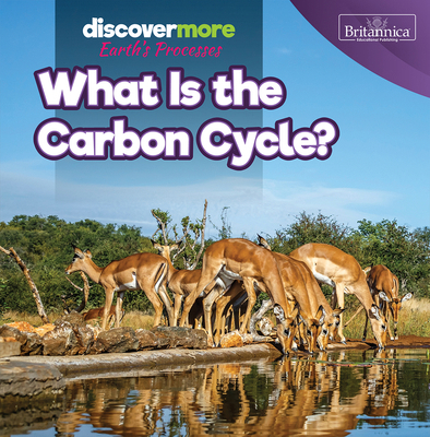 What Is the Carbon Cycle? 1641906138 Book Cover