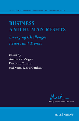 Business and Human Rights: Emerging Challenges,... 9004715142 Book Cover