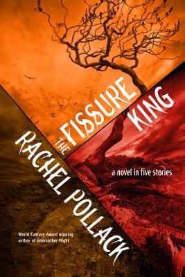 The Fissure King: A Novel in Five Stories 163023012X Book Cover