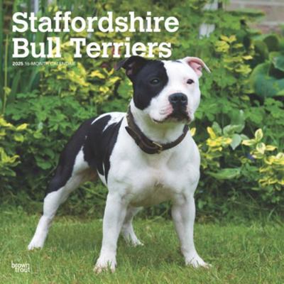 Staffordshire Bull Terriers 2025 12 X 24 Inch M... 1975477812 Book Cover