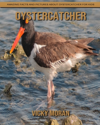 Paperback Oystercatcher: Amazing Facts and Pictures about Oystercatcher for Kids [Large Print] Book