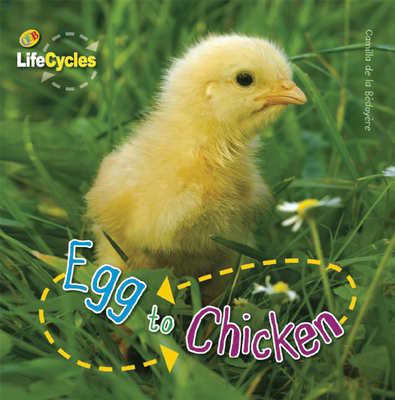 Egg to Chicken 1595667415 Book Cover