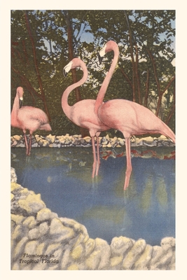 Vintage Journal Flamingos, Florida 1669519511 Book Cover