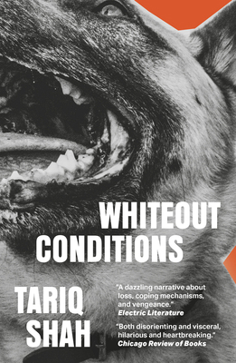 Whiteout Conditions 1911585746 Book Cover
