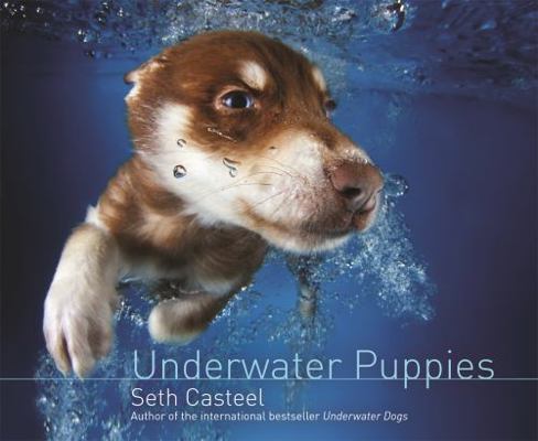 Underwater Puppies 1472209400 Book Cover