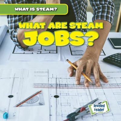 What Are Steam Jobs? 1538285592 Book Cover