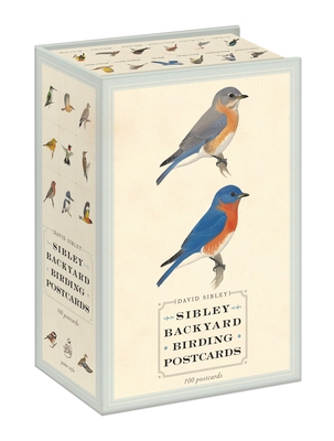 Sibley Backyard Birding Postcards: 100 Postcards 0770433960 Book Cover