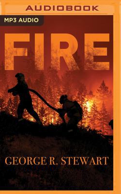 Fire 1543681697 Book Cover