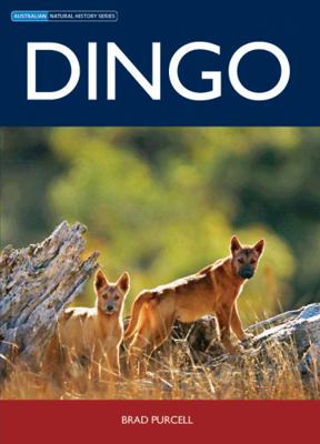 Dingo 0643096930 Book Cover