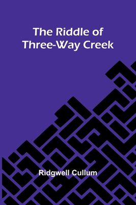 The Riddle Of Three-Way Creek 9369053700 Book Cover