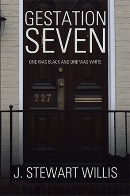 Gestation Seven: One Was Black and One Was White 1543410154 Book Cover
