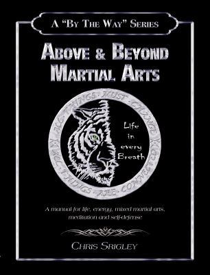 Above & Beyond Martial Arts (By the Way) 0980219051 Book Cover