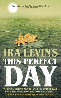 This Perfect Day B0CX6T14YS Book Cover