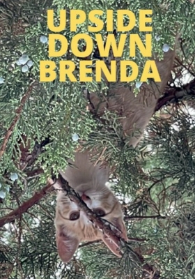 UPSIDE DOWN BRENDA 1735986658 Book Cover