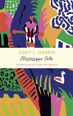 Mississippi Solo: John Murray Journeys (Overcom...            Book Cover