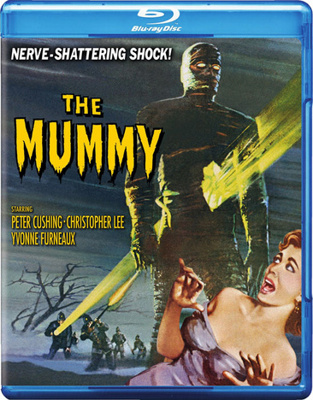 The Mummy            Book Cover