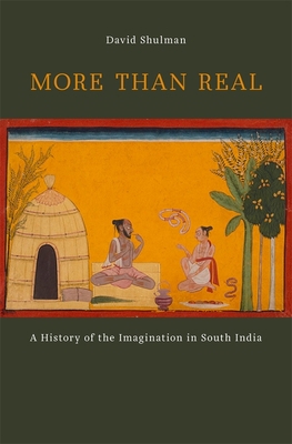 More Than Real: A History of the Imagination in... 0674059913 Book Cover