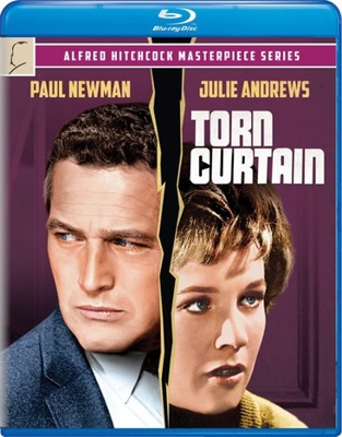 Torn Curtain            Book Cover
