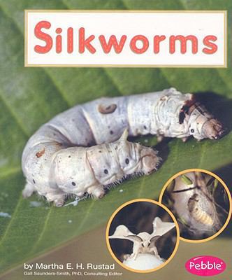 Silkworms (Watch It Grow) 1429634472 Book Cover