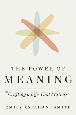 The Power of Meaning: Crafting a Life That Matters 0553419994 Book Cover