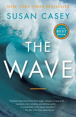 The Wave: In Pursuit of the Pursuit of the Rogu... 0385666683 Book Cover