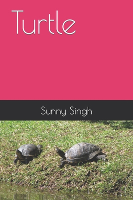 Turtle B09T32P3B4 Book Cover