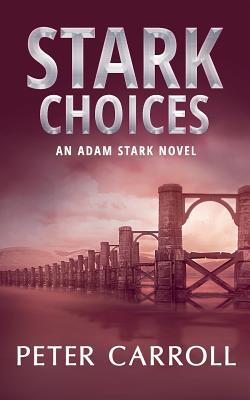 Stark Choices: An Adam Stark Novel 0992670020 Book Cover
