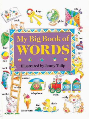 My Big Book of Words 0754819418 Book Cover
