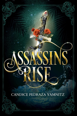 Assassins Rise B0FNZ3T7XS Book Cover