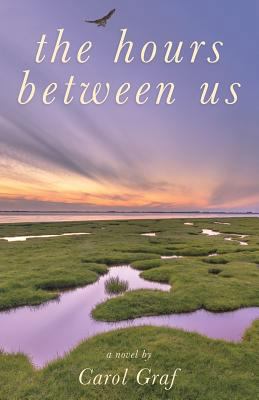 The Hours Between Us 1635051762 Book Cover