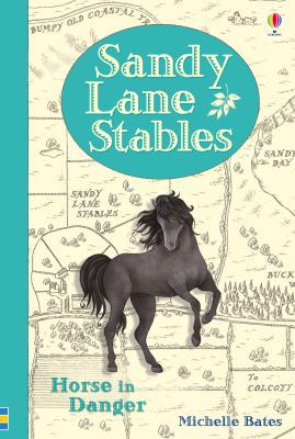 Sandy Lane Stables - Horse in Danger 1474917259 Book Cover