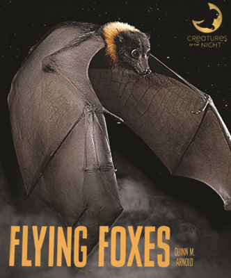 Flying Foxes B0GN2GJ1FP Book Cover