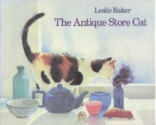 The Antique Store Cat 0316078379 Book Cover