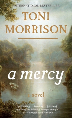 A Mercy 0307472345 Book Cover