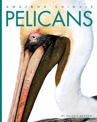 Pelicans 1628326263 Book Cover