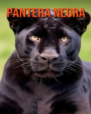 Pantera negra: ¡Datos fascinantes sobre los Pan... [Spanish] B0D2DLR2QR Book Cover