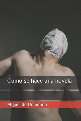 Como se hace una novela [Spanish] 1079009973 Book Cover