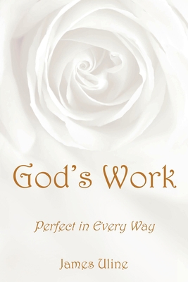 God's Work: Perfect in Every Way 1638147043 Book Cover
