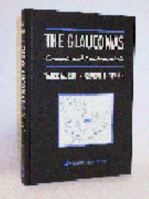 Media and Culture 0312202008 Book Cover