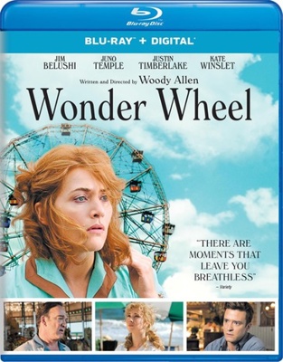 Wonder Wheel            Book Cover