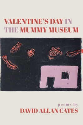 Valentine's Day in the Mummy Museum 164662453X Book Cover