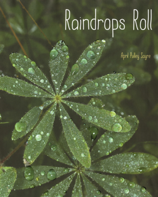 Raindrops Roll B0GMZ6Q1QN Book Cover