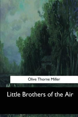 Little Brothers of the Air 1548302333 Book Cover