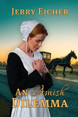 An Amish Dilemma 1649494629 Book Cover