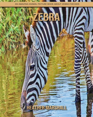 Paperback Zebra: An Amazing Animal Picture Book about Zebra for Kids [Large Print] Book