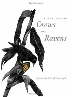 In the Company of Crows and Ravens 0300100760 Book Cover