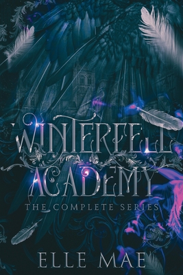 Winterfell Academy: A dark bully why choose 1959187074 Book Cover